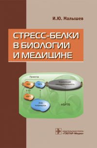 Малышев Игорь Юрьевич - Стресс-белки в биологии и медицине