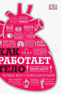 Как работает тело