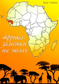 Артур Сергеевич Синицын - Африка:заметки на полях