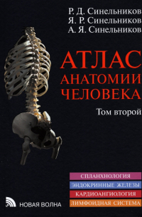  - Атлас анатомии человека. В 3-х томах. Том 2
