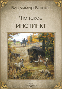 Владимир Вагнер - Что такое инстинкт