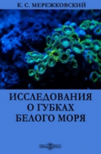 Константин Мережковский - Исследования о губках Белого моря
