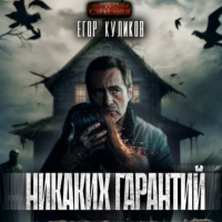 Егор Куликов - Никаких гарантий