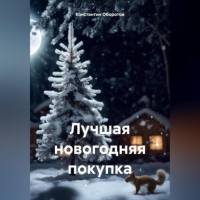 Константин Оборотов - Лучшая новогодняя покупка