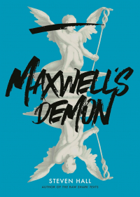 Steven Hall - Maxwell's Demon