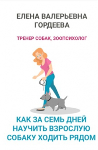 Как за семь дней научить взрослую собаку ходить рядом