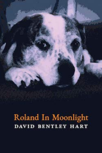 Дэвид Бентли Харт - Roland in Moonlight