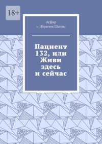  - Пациент 132, или Живи здесь и сейчас