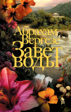 Абрахам Вергезе - Завет воды