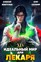  - Идеальный мир для Лекаря 14