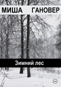 Миша Гановер - Зимний лес
