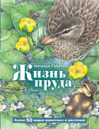 Наталья Михайловна Габеева - Жизнь пруда
