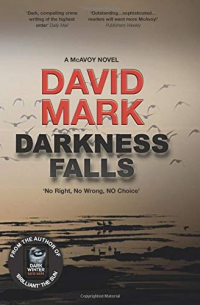 Дэвид Вебер - Darkness Falls