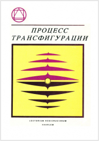 Ян ван Рэйкенборг - Процесс трансфигурации