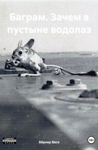 Вася Бёрнер - Баграм. Зачем в пустыне водолаз