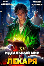  - Идеальный мир для Лекаря 15