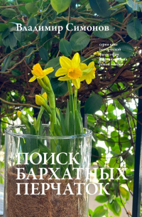 Владимир Симонов - Поиск бархатных перчаток. Серия книг поэтической философии миропонимания новой эпохи