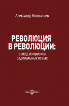 Александр Ноговищев - Революция в революции : выход из кризиса радикальных левых