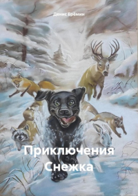 Денис Игорьевич Еремин - Приключения Снежка