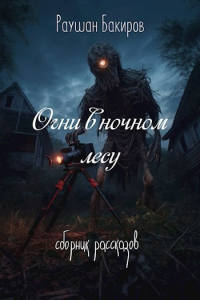Раушан Бакиров - Огни в ночном лесу