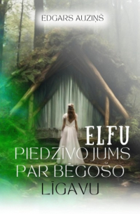 Edgars Auziņš - Elfu piedzīvojums par bēgošo līgavu