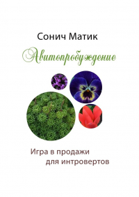 Сонич Матик - Авитопробуждение. Игра в продажи для интровертов