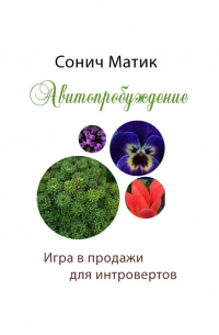 Сонич Матик - Авитопробуждение. Игра в продажи для интровертов