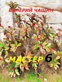 Валерий Чащин - Мастер 6