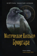 Кейтлин Эмилия Новак - Магическое кольцо Бродгара. Книга 1. Наследство