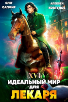  - Идеальный мир для Лекаря 16