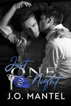 J.O Mantel - Just One Night