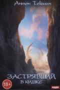 Застрявший. Книга 3. Застрявший в Кишке