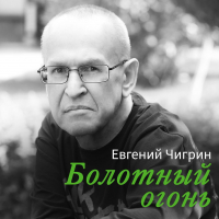 Евгений Чигрин - Болотный огонь