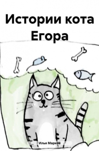 Курс история и котики