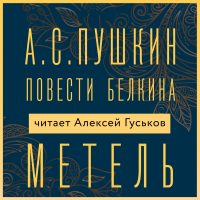 Александр Пушкин - Метель