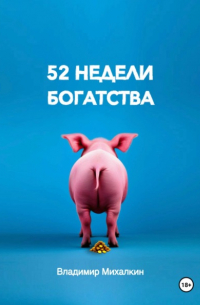 Владимир Михалкин - 52 недели богатства