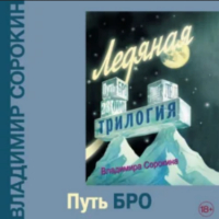 Владимир Сорокин - Путь Бро