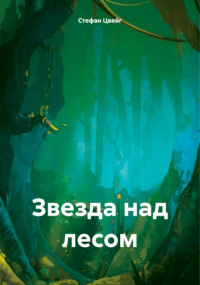 Стефан Цвейг - Звезда над лесом