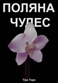 Том Торк - Поляна чудес