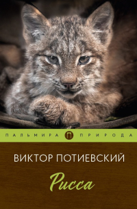 Виктор Потиевский - Рисса: повесть