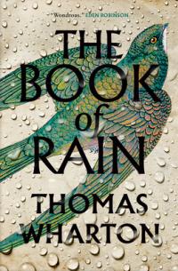The Book of Rain