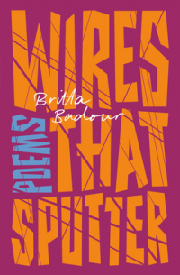 Wires that Sputter: Poems