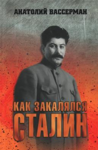 Анатолий Вассерман - Как закалялся Сталин