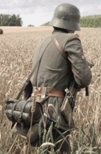 Брянское Поле