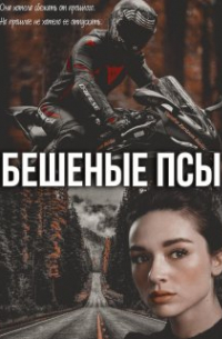 Дэнни Дэш - Бешеные Псы