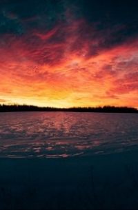 Олег Король - Странные цифры