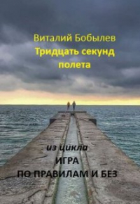 Виталий Бобылев - Тридцать секунд полета
