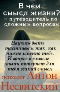 Психолог Антон Несвитский - В чем смысл жизни? – путеводитель по сложным вопросам