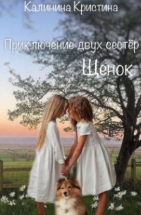 Кристина Калинина - Приключение двух сестер Щенок