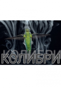 Дина Оттом - Калибри